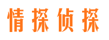 利辛侦探公司